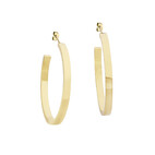 Earring 5541