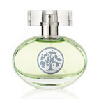 Tree of Life 50ml