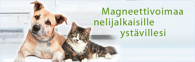 liitettäväksi