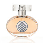 Power of Life 50ml D04