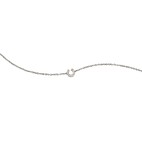 Horseshoe Fußkette