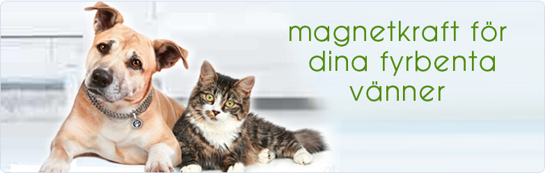 Magnetisk djurmatta